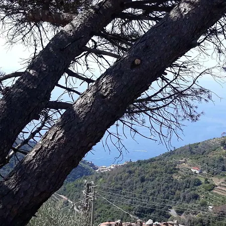 Chez Il Pino Vista Mare * Vernazza