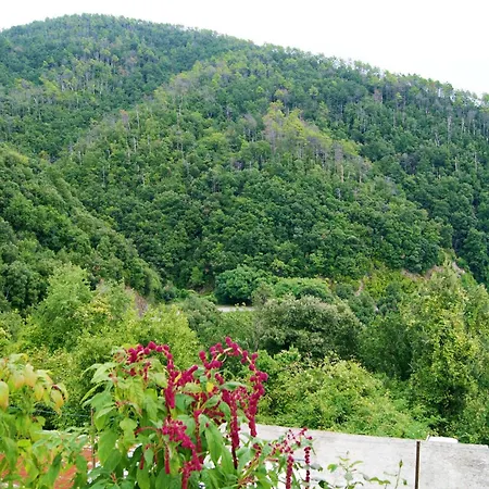 Chez Il Pino Vista Mare 公寓 韦尔纳扎