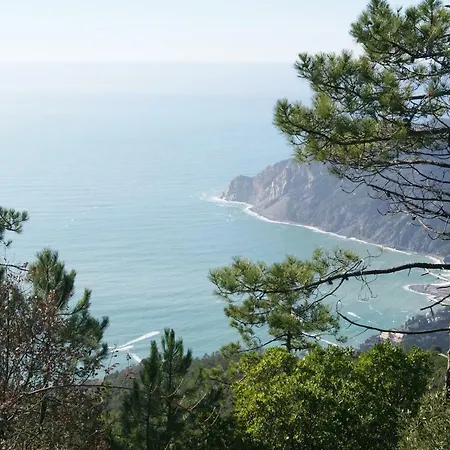Appartamento Chez Il Pino Vista Mare Vernazza